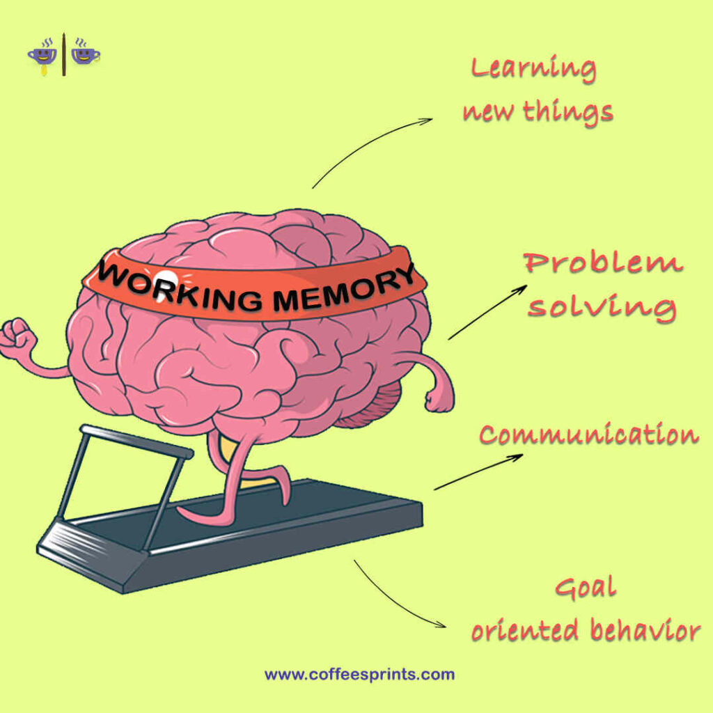 increase working memory
